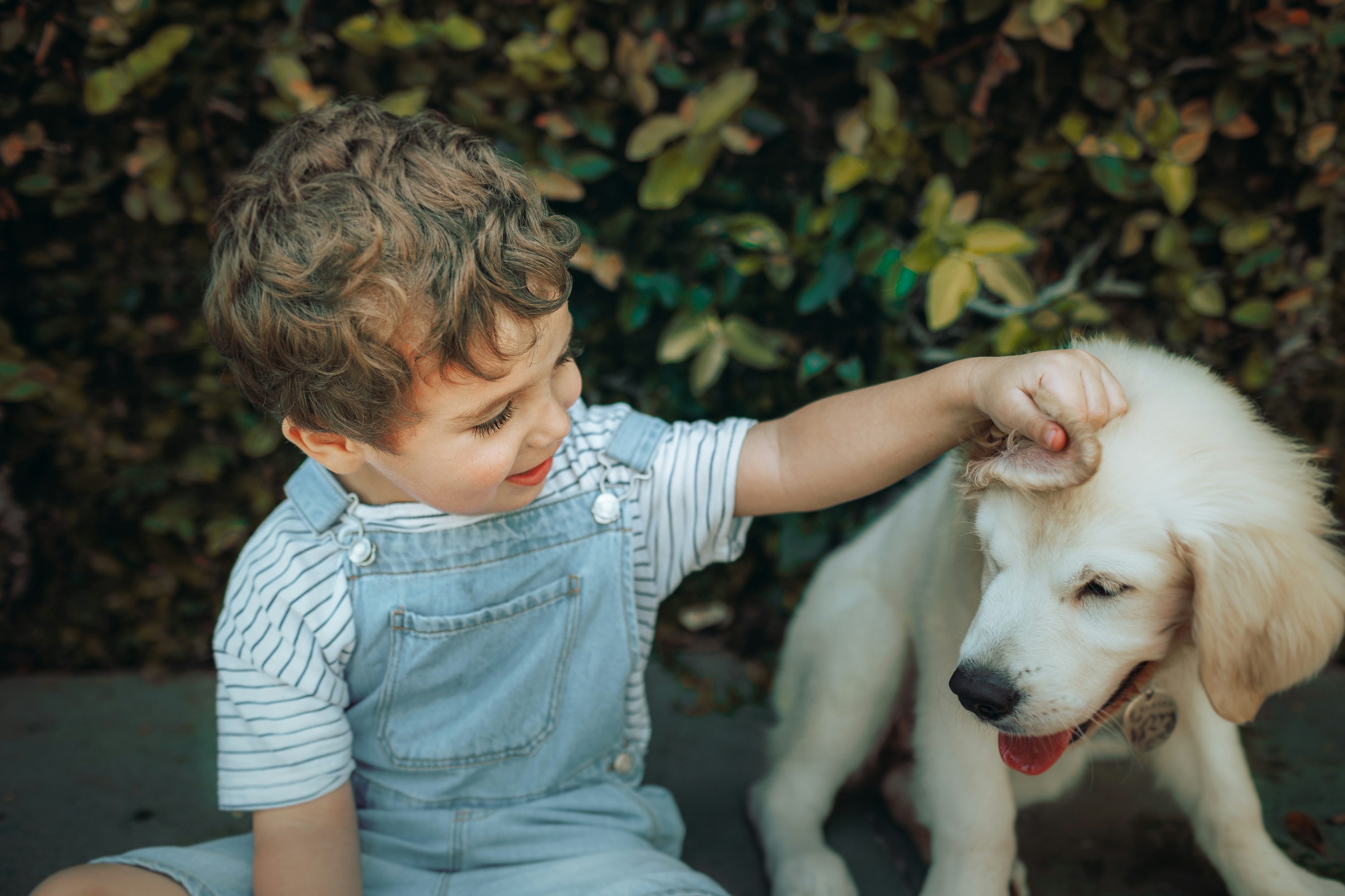 How to Tell a Child Their Dog Died